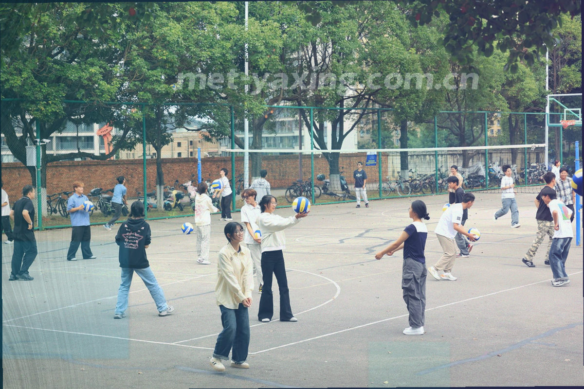 带有数据覆盖层的体育场俯瞰图